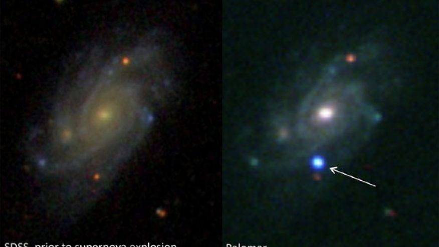 Supernova discovery