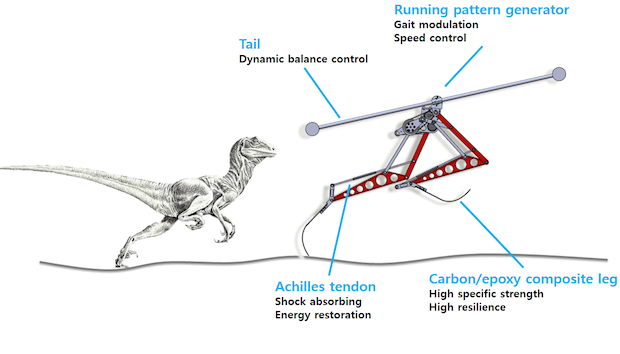 Velociraptor Inspired Designed Robot Raptor in Korea Outruns Usain Bolt