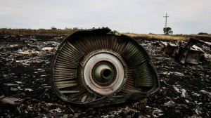 Malaysia Airlines MH17 crash site