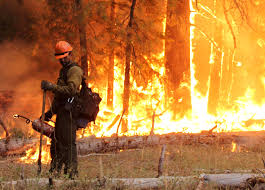 California’s Wildfire Calms Down