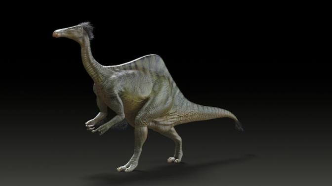 Mystery of Dinosaur with Horrible Hands Revealed