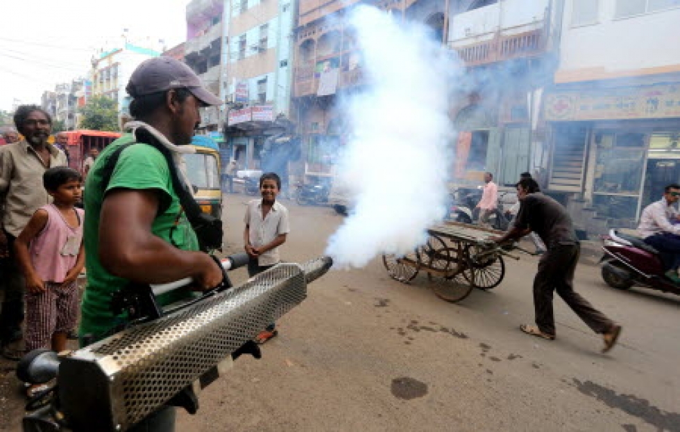 Worst Dengue Virus Outbreak