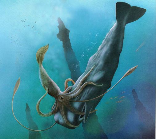 The Sizes of Gigantic Marine Creatures Are Inaccurate, Study Shows