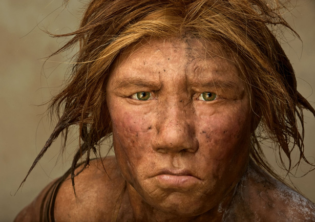 humans and neanderthals