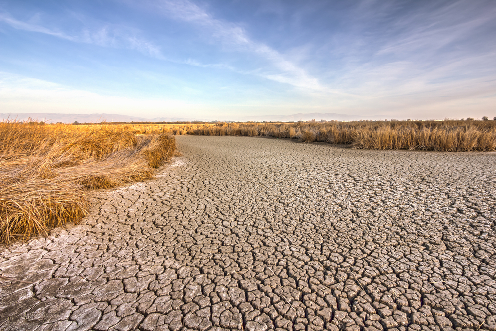 Global Warming Is a Key Contributor to California Drought, Study Says