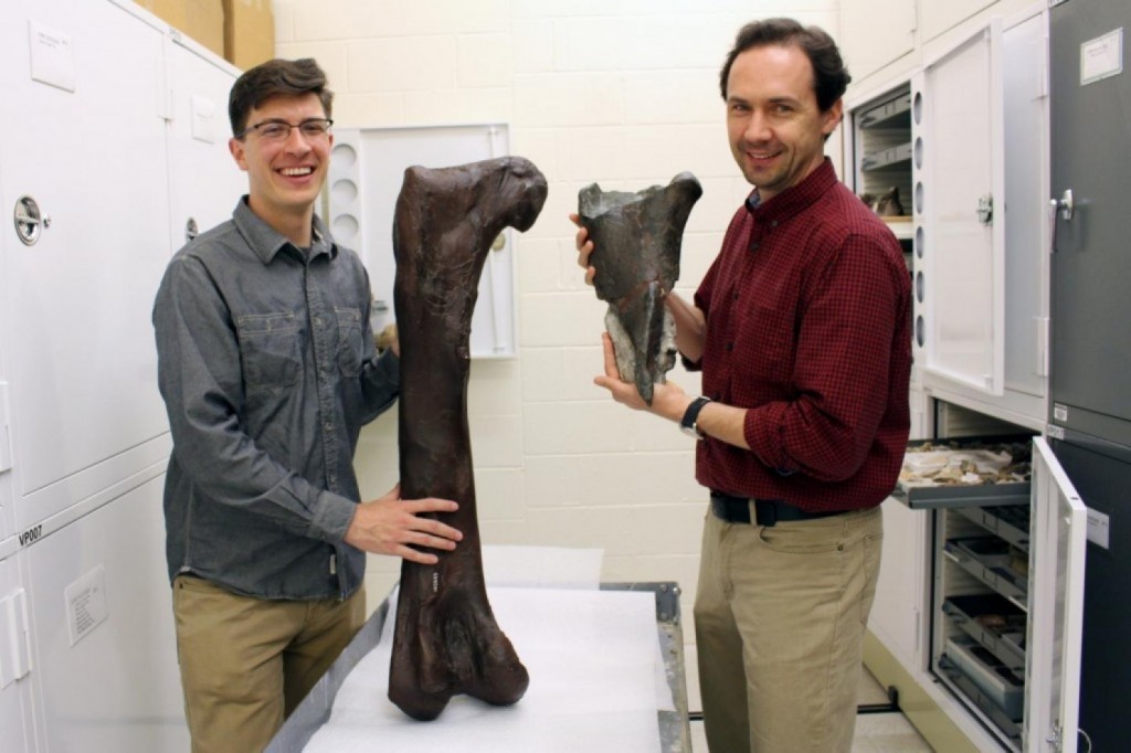 alt="the two scientists display the dinosaur fossil"