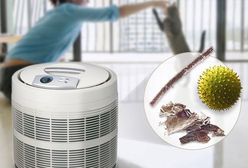 alt="air purifier reducing microbes"