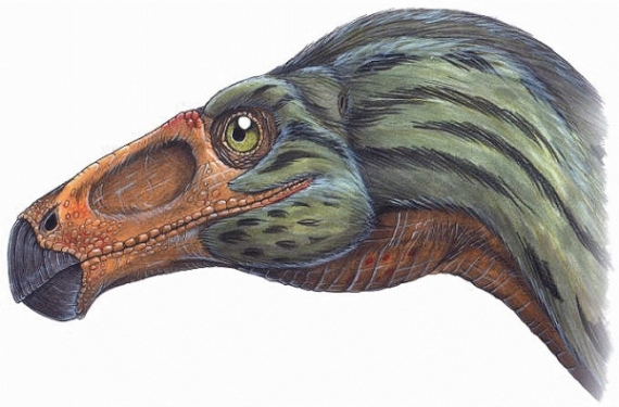 Scientists Deny Bird Beaks Can Be Turned into Dinosaur Snouts