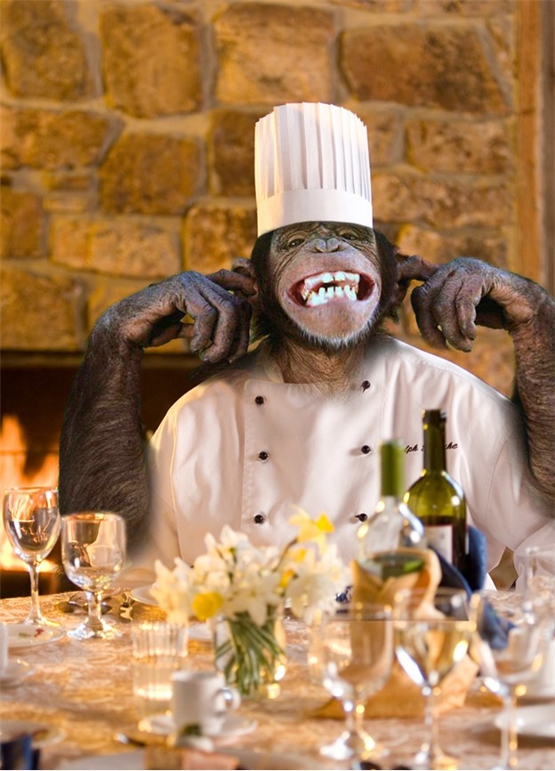 alt="chimp cooking dinner"