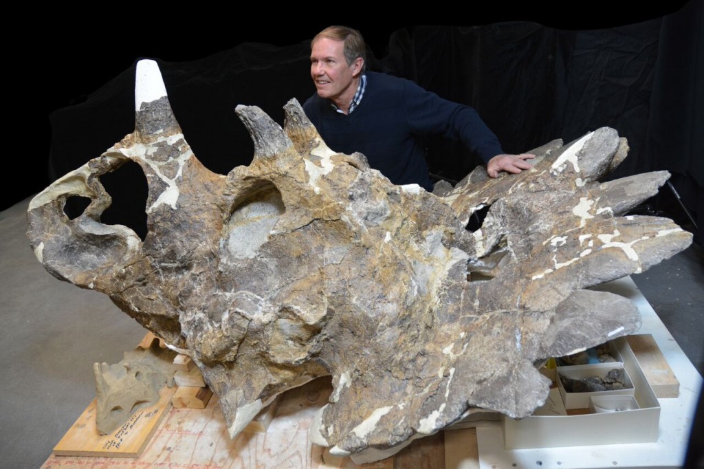 alt="paleontologist showcasing the dinosaur skull of hellboy"