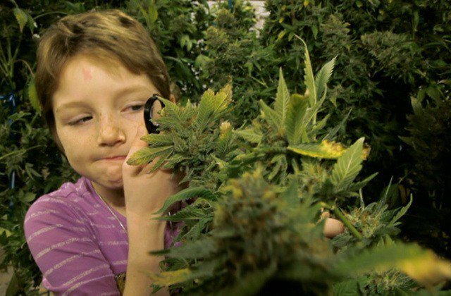 children exposed to marijuana