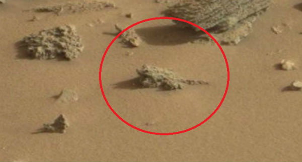 "Curiosity's New Pics Hint at Alien Life on Mars"