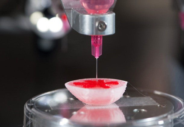 "3d printing of heart tissue"