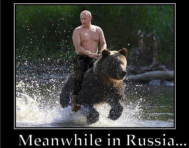 "Putin riding a bear"