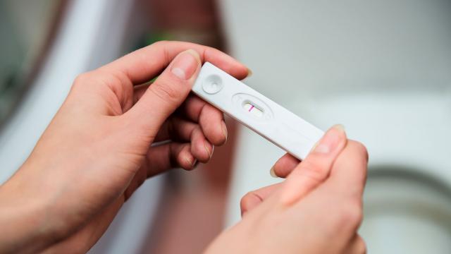 alt="Positive Pregnancy Test"