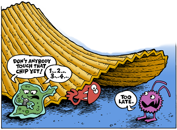 5 second rule is a myth