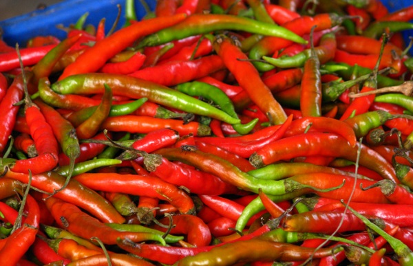 a pile of red chili peppers