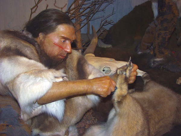 wax figure of Neanderthal man in museum