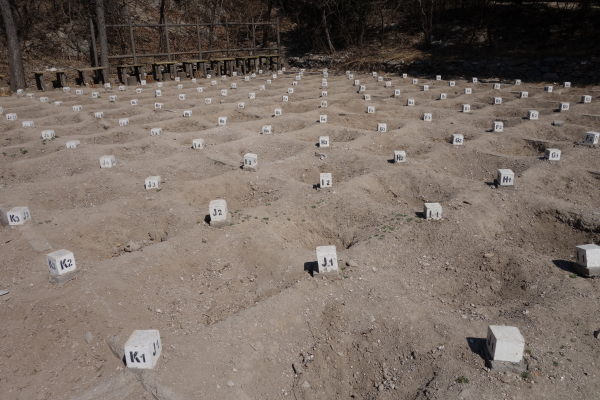 7000 bodies excavation site