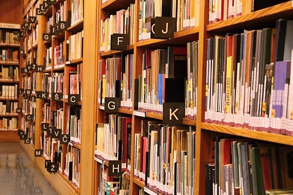 librarians library shelves